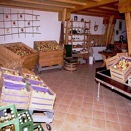 Ferienwohnung Aichem Radolfzell am Bodensee Dış mekan fotoğraf