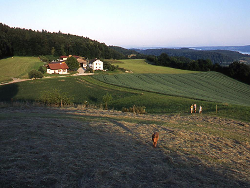 Ferienwohnung Aichem Radolfzell am Bodensee Dış mekan fotoğraf